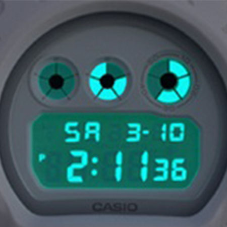 CASIO DW-6900WW-702